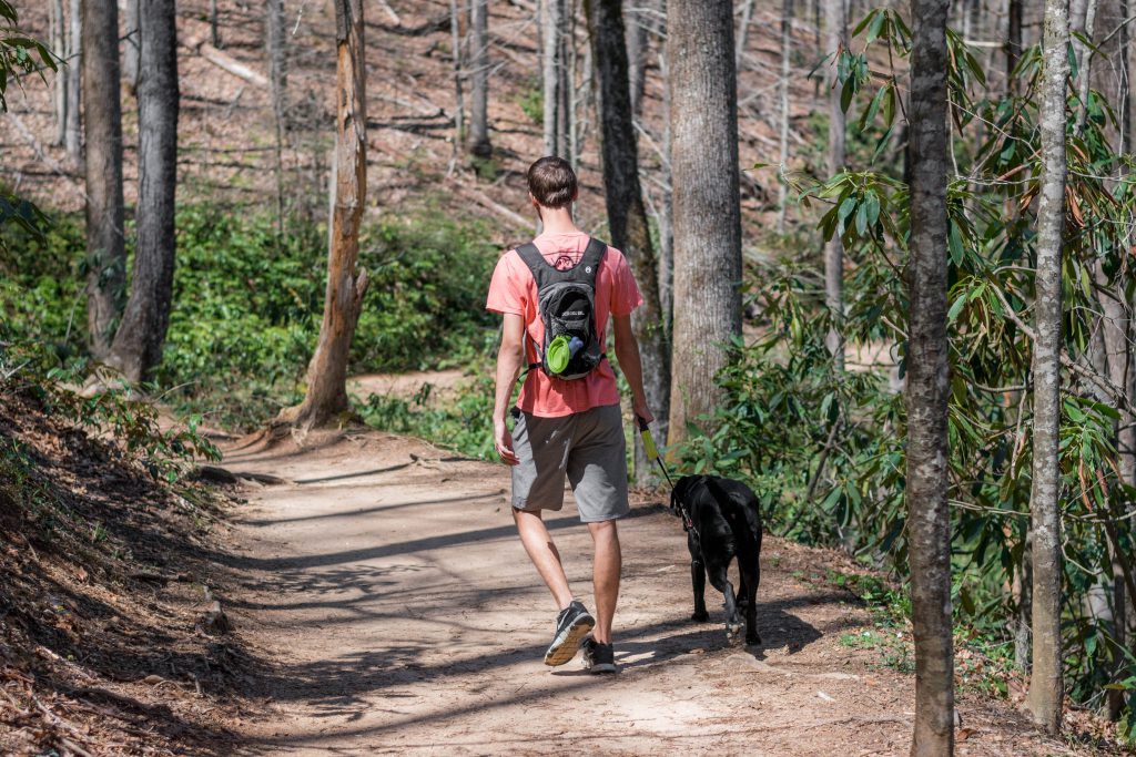 Moore Cove Falls Trail